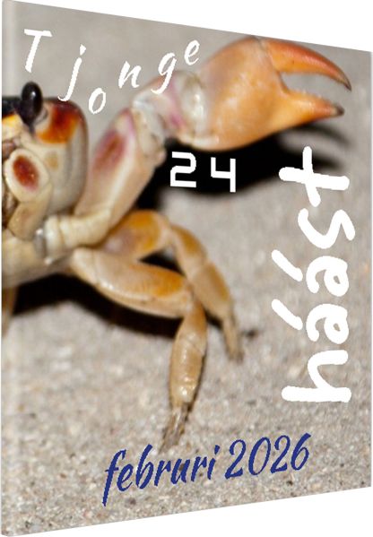 Bestand:Tj24.jpg